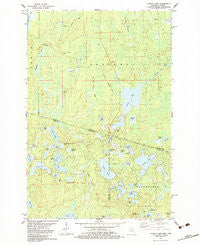 Chaney Lake Michigan Historical topographic map, 1:24000 scale, 7.5 X 7.5 Minute, Year 1982