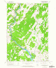 Chappee Rapids Michigan Historical topographic map, 1:24000 scale, 7.5 X 7.5 Minute, Year 1963