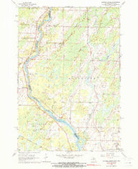 Chappee Rapids Michigan Historical topographic map, 1:24000 scale, 7.5 X 7.5 Minute, Year 1963