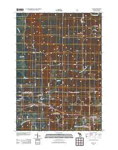 Chase Michigan Historical topographic map, 1:24000 scale, 7.5 X 7.5 Minute, Year 2012