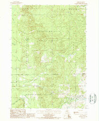 Chase Michigan Historical topographic map, 1:24000 scale, 7.5 X 7.5 Minute, Year 1987
