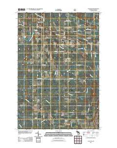 Chatham Michigan Historical topographic map, 1:24000 scale, 7.5 X 7.5 Minute, Year 2011