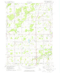 Chesaning West Michigan Historical topographic map, 1:24000 scale, 7.5 X 7.5 Minute, Year 1974