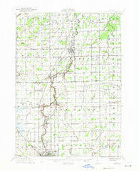 Chesaning Michigan Historical topographic map, 1:62500 scale, 15 X 15 Minute, Year 1917