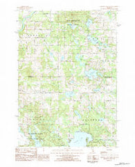 Chippewa Lake North Michigan Historical topographic map, 1:25000 scale, 7.5 X 7.5 Minute, Year 1983