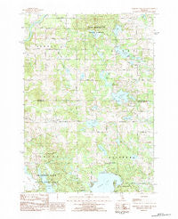 Chippewa Lake North Michigan Historical topographic map, 1:25000 scale, 7.5 X 7.5 Minute, Year 1983