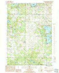 Chippewa Lake South Michigan Historical topographic map, 1:24000 scale, 7.5 X 7.5 Minute, Year 1985