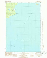 Chippewa Point Michigan Historical topographic map, 1:24000 scale, 7.5 X 7.5 Minute, Year 1985