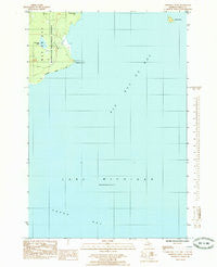 Chippewa Point Michigan Historical topographic map, 1:24000 scale, 7.5 X 7.5 Minute, Year 1985