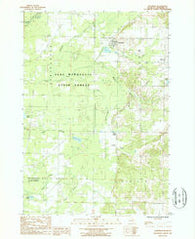 Copemish Michigan Historical topographic map, 1:24000 scale, 7.5 X 7.5 Minute, Year 1987