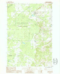 Copemish Michigan Historical topographic map, 1:24000 scale, 7.5 X 7.5 Minute, Year 1987