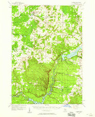 Copemish Michigan Historical topographic map, 1:62500 scale, 15 X 15 Minute, Year 1957