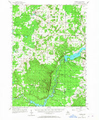 Copemish Michigan Historical topographic map, 1:62500 scale, 15 X 15 Minute, Year 1957