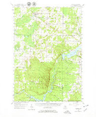 Copemish Michigan Historical topographic map, 1:62500 scale, 15 X 15 Minute, Year 1957