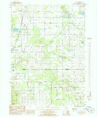Coral Michigan Historical topographic map, 1:24000 scale, 7.5 X 7.5 Minute, Year 1985