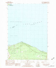 Cordwood Point Michigan Historical topographic map, 1:25000 scale, 7.5 X 7.5 Minute, Year 1982