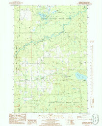 Covington Michigan Historical topographic map, 1:24000 scale, 7.5 X 7.5 Minute, Year 1985