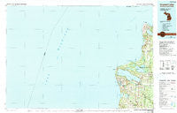 Crystal Lake Michigan Historical topographic map, 1:100000 scale, 30 X 60 Minute, Year 1984