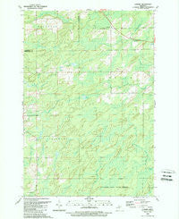 Cunard Michigan Historical topographic map, 1:24000 scale, 7.5 X 7.5 Minute, Year 1989