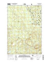 Cup Lake Michigan Historical topographic map, 1:24000 scale, 7.5 X 7.5 Minute, Year 2014