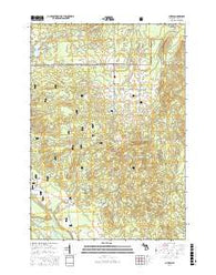 Curran Michigan Current topographic map, 1:24000 scale, 7.5 X 7.5 Minute, Year 2016