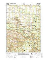 Custer Michigan Current topographic map, 1:24000 scale, 7.5 X 7.5 Minute, Year 2017