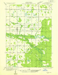 Custer NW Michigan Historical topographic map, 1:31680 scale, 7.5 X 7.5 Minute, Year 1931