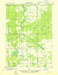 Custer SE Michigan Historical topographic map, 1:31680 scale, 7.5 X 7.5 Minute, Year 1931