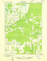 Custer SW Michigan Historical topographic map, 1:31680 scale, 7.5 X 7.5 Minute, Year 1931