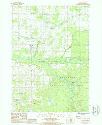 Custer Michigan Historical topographic map, 1:24000 scale, 7.5 X 7.5 Minute, Year 1987