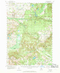 Custer Michigan Historical topographic map, 1:62500 scale, 15 X 15 Minute, Year 1959