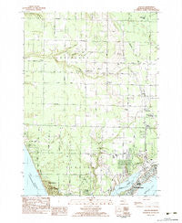 Dalton Michigan Historical topographic map, 1:25000 scale, 7.5 X 7.5 Minute, Year 1983