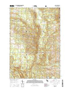 Damon Michigan Historical topographic map, 1:24000 scale, 7.5 X 7.5 Minute, Year 2014