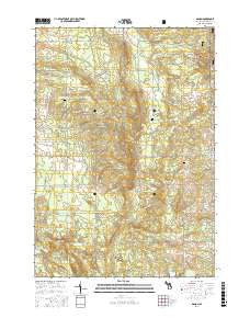 Damon Michigan Current topographic map, 1:24000 scale, 7.5 X 7.5 Minute, Year 2017