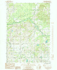 Dayton Center Michigan Historical topographic map, 1:24000 scale, 7.5 X 7.5 Minute, Year 1985