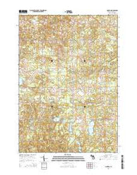Dighton Michigan Historical topographic map, 1:24000 scale, 7.5 X 7.5 Minute, Year 2014