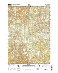 Dighton Michigan Current topographic map, 1:24000 scale, 7.5 X 7.5 Minute, Year 2016
