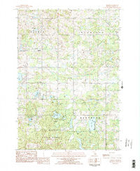 Dighton Michigan Historical topographic map, 1:25000 scale, 7.5 X 7.5 Minute, Year 1983