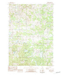 Dighton Michigan Historical topographic map, 1:25000 scale, 7.5 X 7.5 Minute, Year 1983