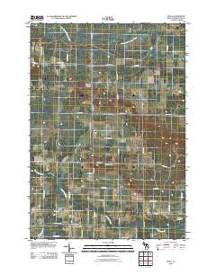 Dinca Michigan Historical topographic map, 1:24000 scale, 7.5 X 7.5 Minute, Year 2011