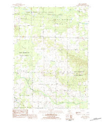 Dinca Michigan Historical topographic map, 1:25000 scale, 7.5 X 7.5 Minute, Year 1983