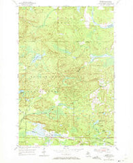 Diorite Michigan Historical topographic map, 1:24000 scale, 7.5 X 7.5 Minute, Year 1955