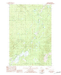 Donken Michigan Historical topographic map, 1:25000 scale, 7.5 X 7.5 Minute, Year 1982