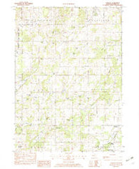 Dowling Michigan Historical topographic map, 1:24000 scale, 7.5 X 7.5 Minute, Year 1982