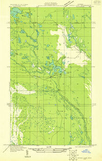 Driggs Lake NW Michigan Historical topographic map, 1:31680 scale, 7.5 X 7.5 Minute, Year 1931
