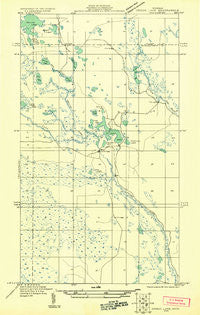 Driggs Lake NW Michigan Historical topographic map, 1:31680 scale, 7.5 X 7.5 Minute, Year 1931