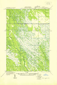 Driggs Lake SE Michigan Historical topographic map, 1:31680 scale, 7.5 X 7.5 Minute, Year 1931