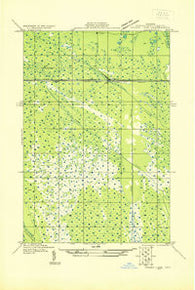 Driggs Lake SW Michigan Historical topographic map, 1:31680 scale, 7.5 X 7.5 Minute, Year 1931