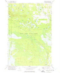 Driggs Lake Michigan Historical topographic map, 1:24000 scale, 7.5 X 7.5 Minute, Year 1972