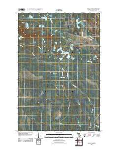 Driggs Lake Michigan Historical topographic map, 1:24000 scale, 7.5 X 7.5 Minute, Year 2011